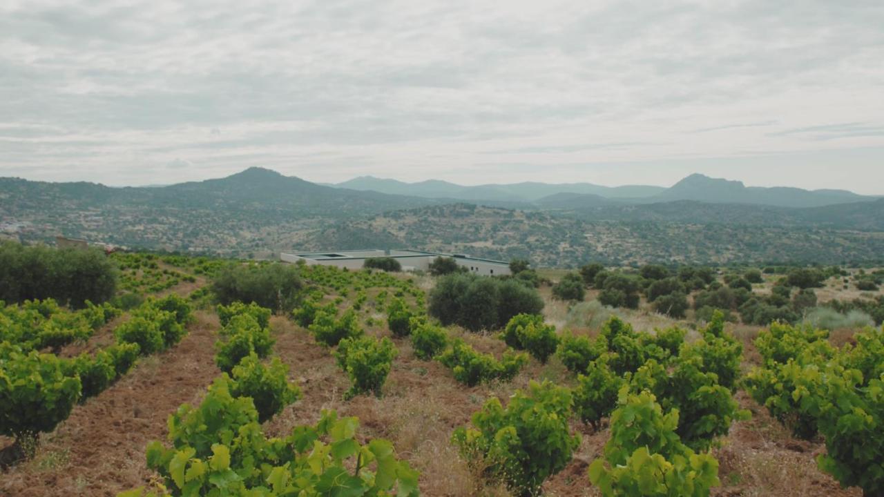 Hotel Tierras De Cebreros Εξωτερικό φωτογραφία
