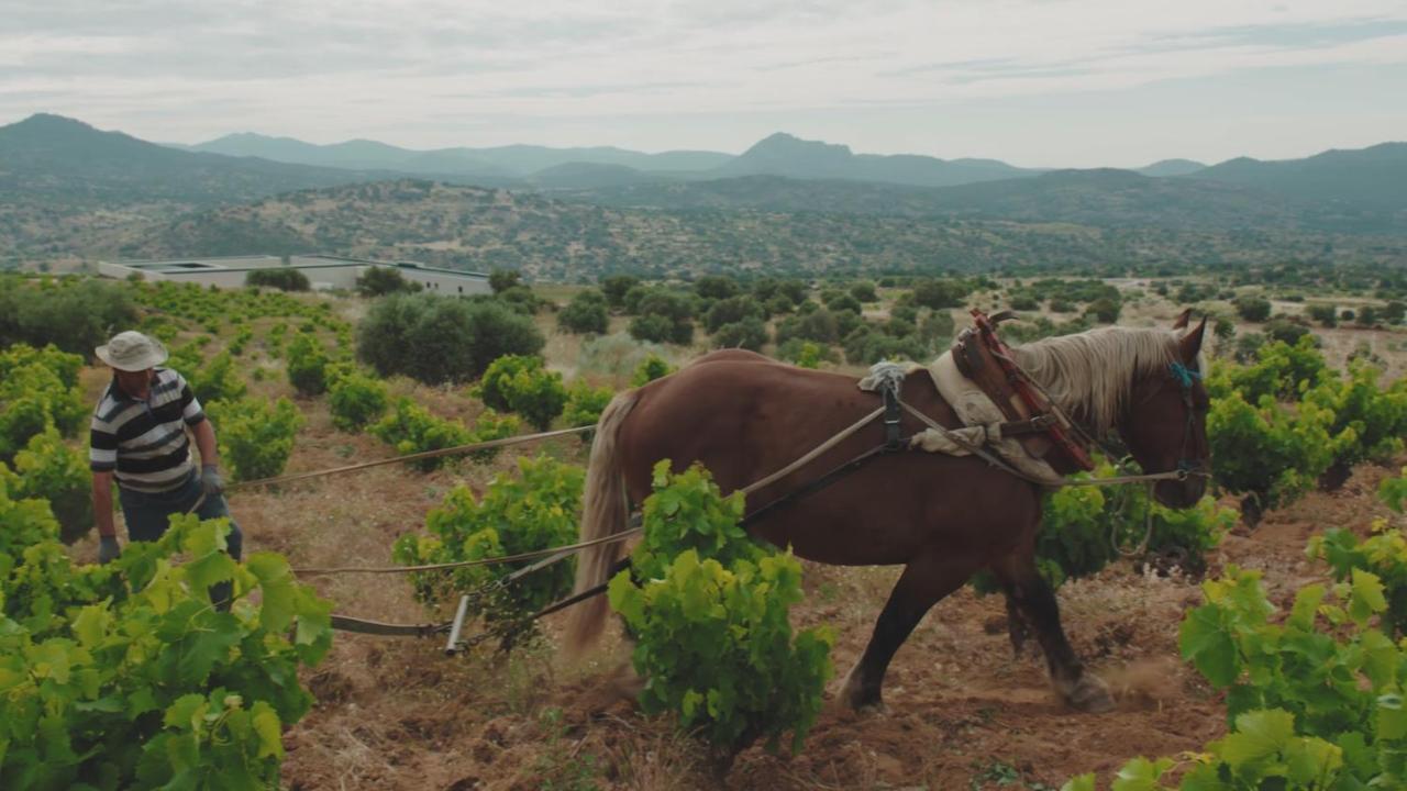 Hotel Tierras De Cebreros Εξωτερικό φωτογραφία