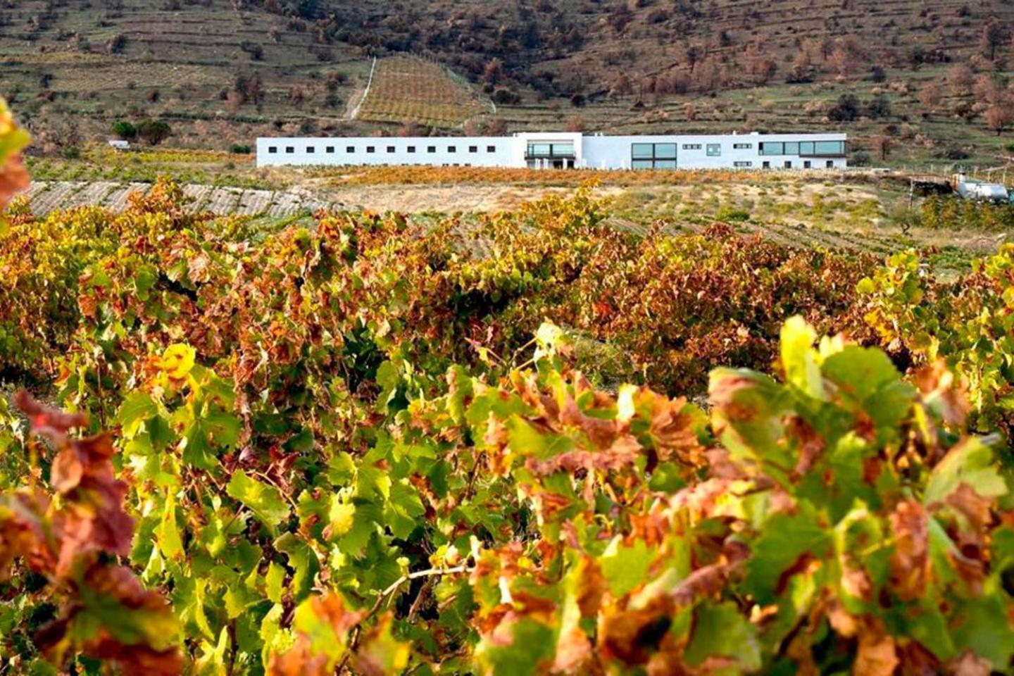 Hotel Tierras De Cebreros Εξωτερικό φωτογραφία